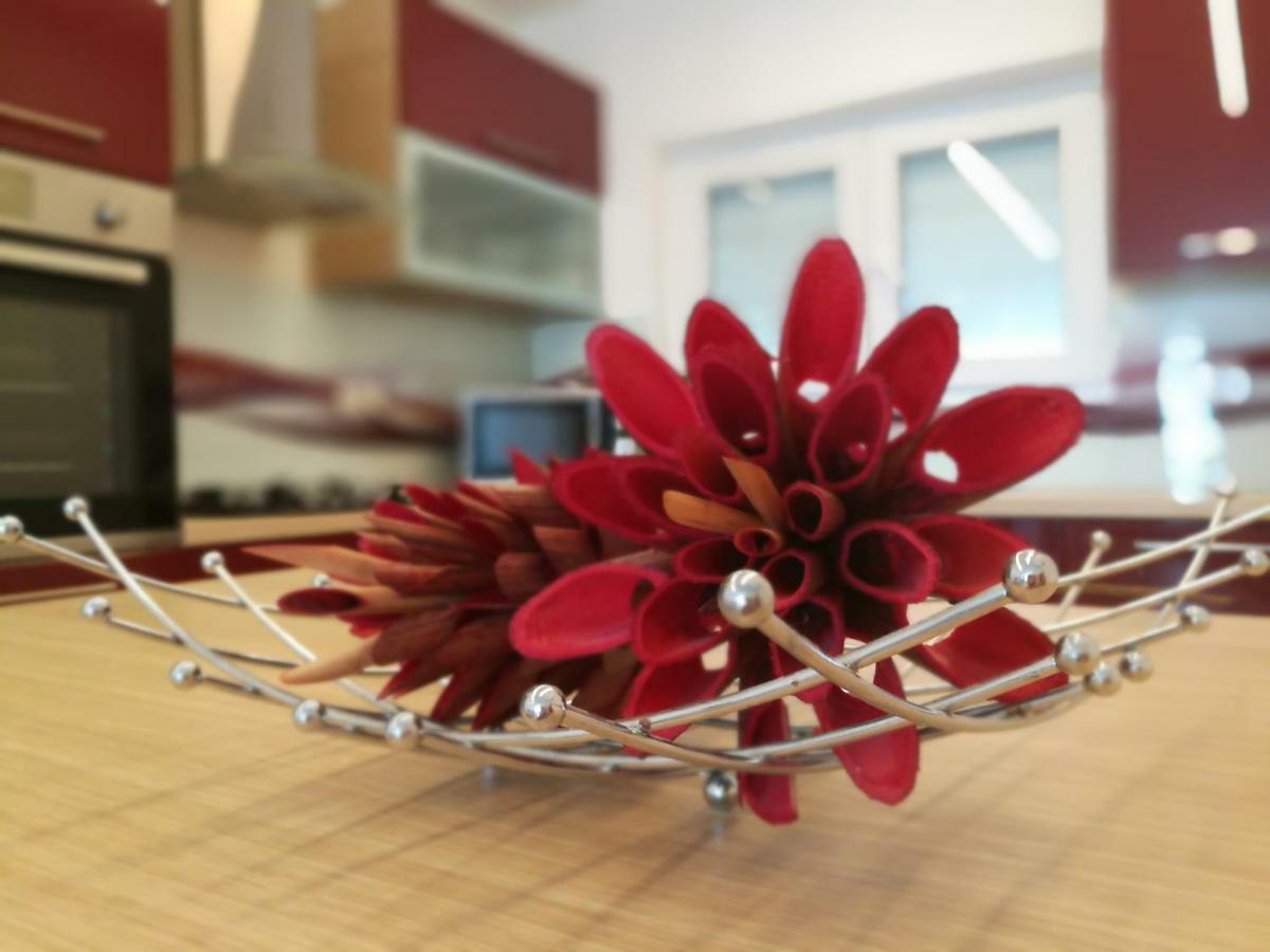 Apartment Bellavista Ριέκα Εξωτερικό φωτογραφία